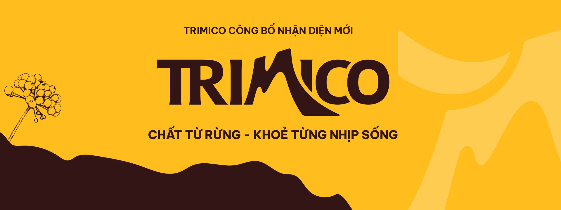 Chất Từ Rừng - Khoẻ Từng Nhịp Sống